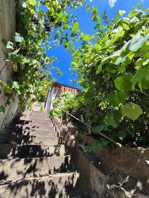 Treppenzugang zum Haus