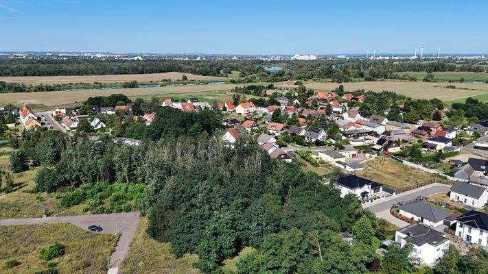 DJI_20240812112158_0017_D