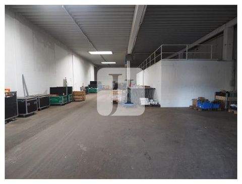 Hamburg Halle, Hamburg Hallenfläche