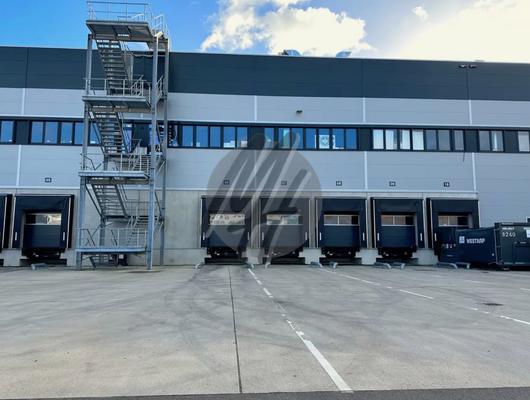 INFOS UNTER: 06171-586000