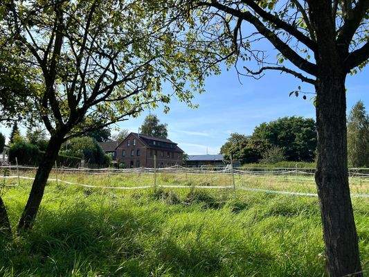 **Weiden/Außenbereich