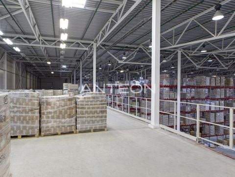 Dortmund Halle, Dortmund Hallenfläche