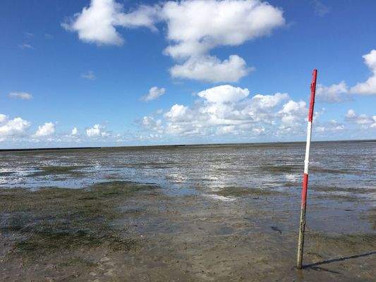 Das Wattenmeer