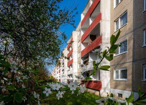 Halle (Saale) Wohnungen, Halle (Saale) Wohnung mieten