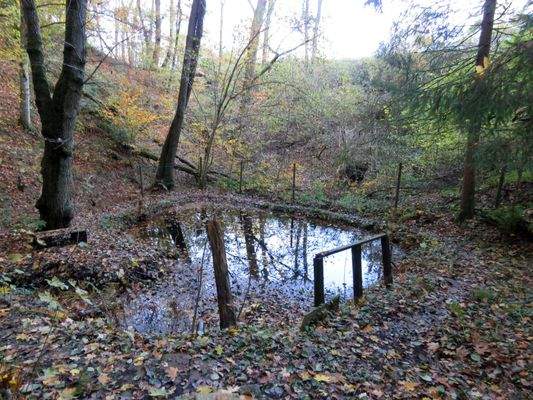 Fischteich im unteren Teil des Grundstücks