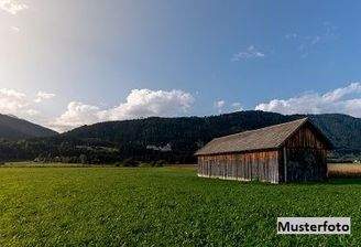 Keine Originalbilder