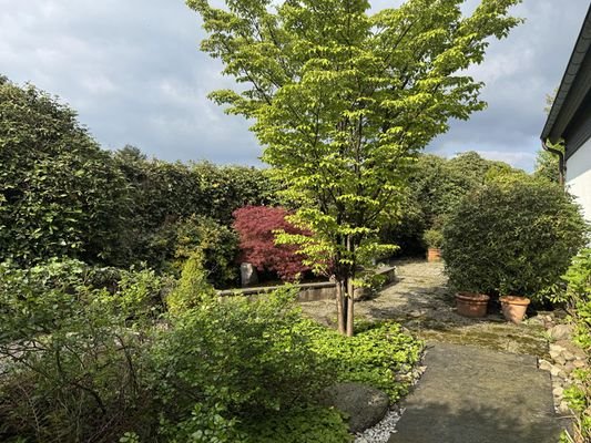 hinterer Garten