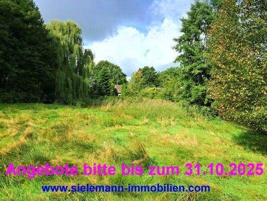 Grundstücksansicht sie.jpg