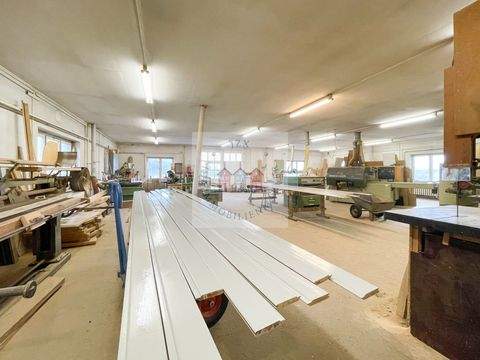 Möglenz Halle, Möglenz Hallenfläche