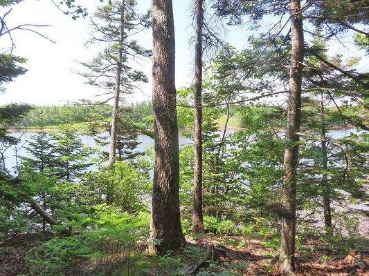 Cape Breton - Cleveland - Wunderschönes Fluss-Ufer