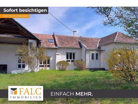 Halogy Häuser, Halogy Haus kaufen