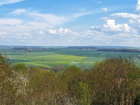 Ilmtal-Weinstraße Häuser, Ilmtal-Weinstraße Haus kaufen
