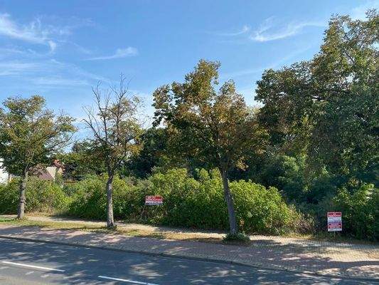 PHOTO-2021-02-02-22-33-48(4)