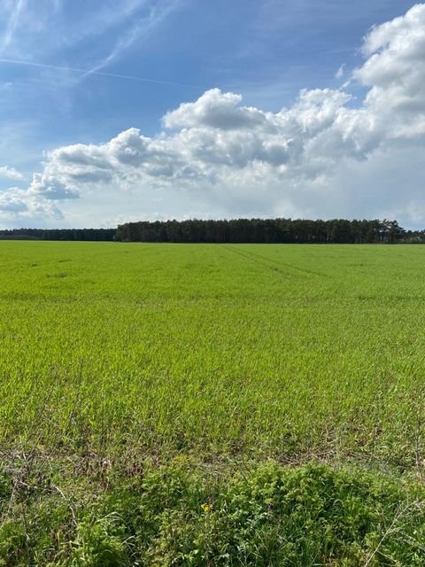 Gardelegen Bauernhöfe, Landwirtschaft, Gardelegen Forstwirtschaft