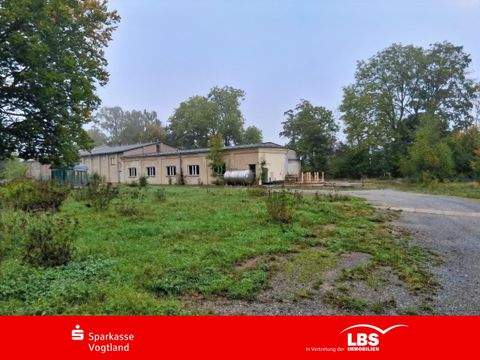 Mühltroff Halle, Mühltroff Hallenfläche