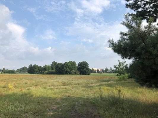 viel Grün vor der Haustür