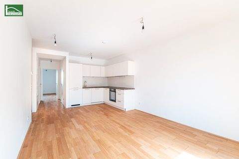 Wien Wohnungen, Wien Wohnung kaufen