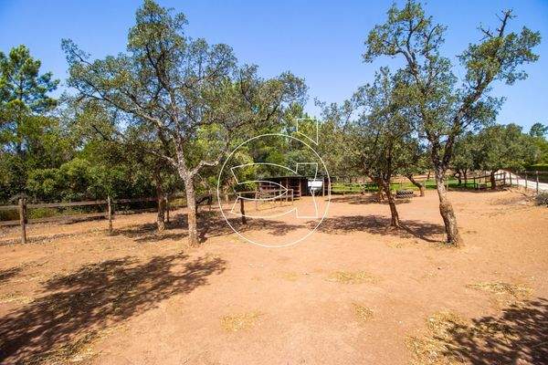 Großzügiges Anwesen