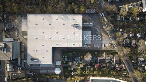 Berlin Halle, Berlin Hallenfläche