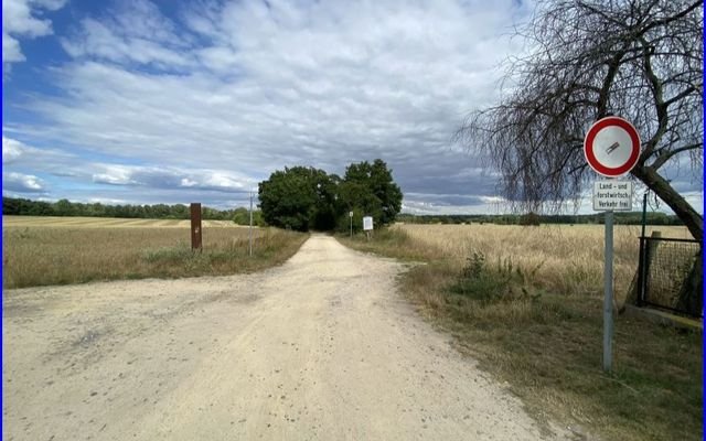 Blick in das Naturschutzgebiet2