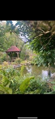 WhatsApp Image 2025-09-14 at 17.15.25