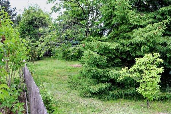 Blick in das Grundstück