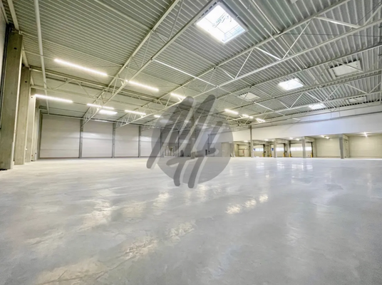 INFOS UNTER: 06171-586000