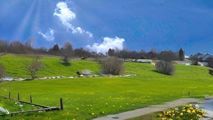 Ihre Aussicht aus der Wohnung Natur-Pur!