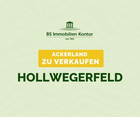 Westerstede / Hollwegerfeld Bauernhöfe, Landwirtschaft, Westerstede / Hollwegerfeld Forstwirtschaft