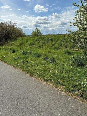 Blick auf das Grundstück