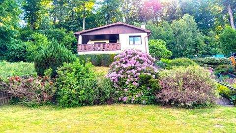 Olbernhau Häuser, Olbernhau Haus kaufen