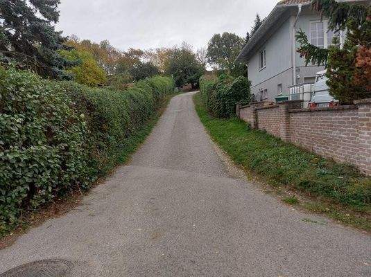 Zufahrt zum Grundstück. Dieses liegt links oben