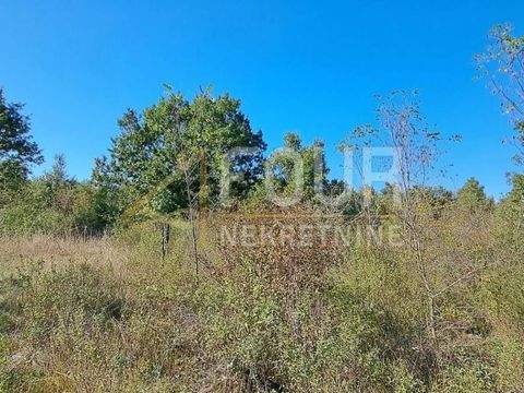 Luka Bauernhöfe, Landwirtschaft, Luka Forstwirtschaft