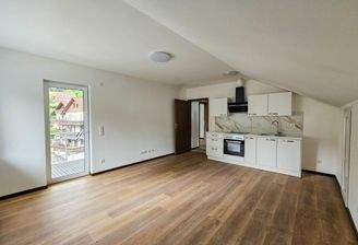 Küche mit Wohn-/Essbereich