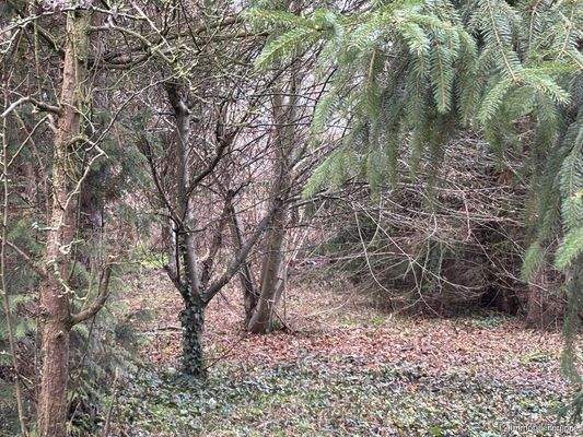 Grundstück im hinteren Bereich