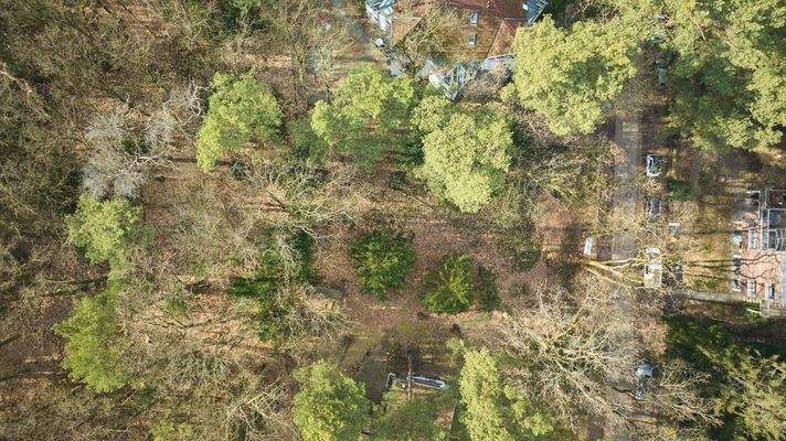 Vogelperspektive-Oben