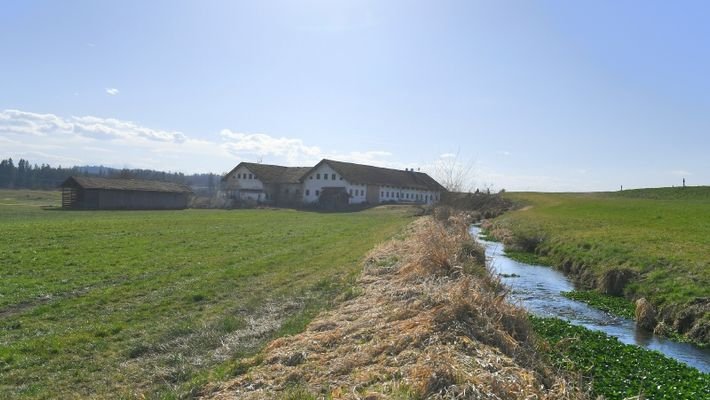 Blick zur Hofstelle mit Bachlauf