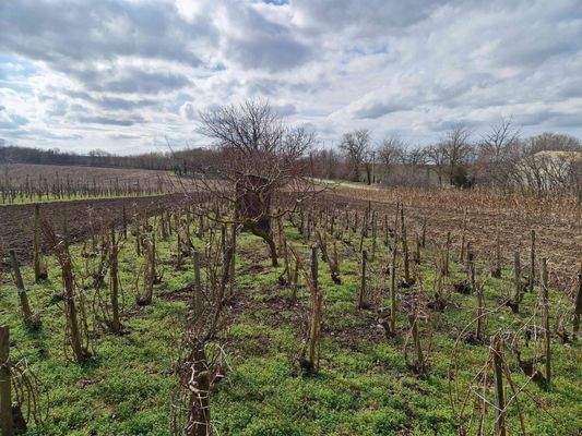 20240226_122725 (1).jpg