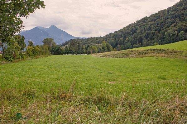 Bauernhof, Immobilien-Kurz-Salzburg