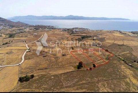 Tsoukalas, Paros Bauernhöfe, Landwirtschaft, Tsoukalas, Paros Forstwirtschaft