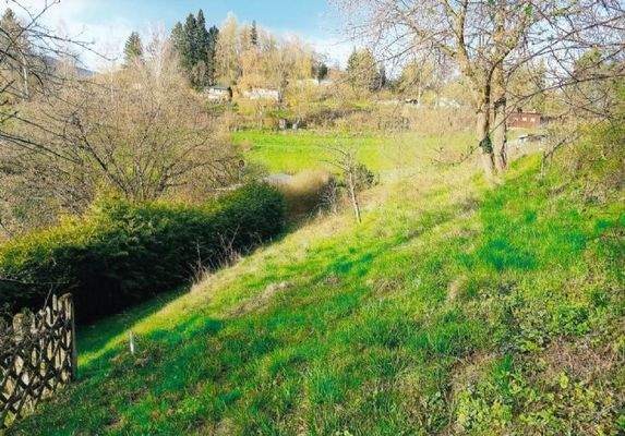 Gartengrundstück - Teilansicht