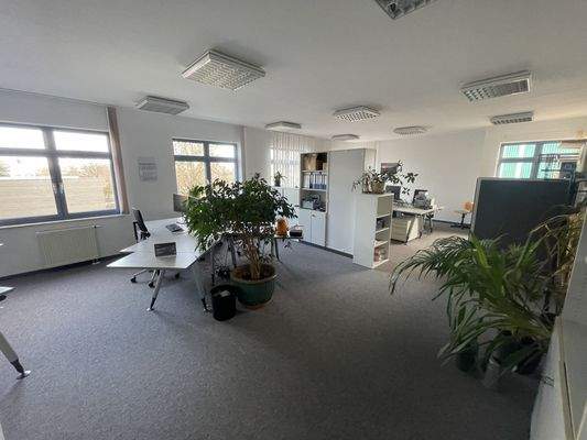 Helles Büro mit Pflanzen