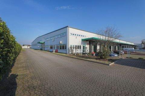 Iffezheim Halle, Iffezheim Hallenfläche