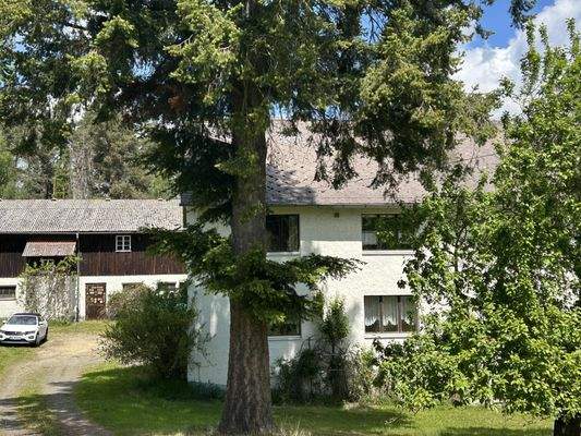 Zufahrt Wohnhaus / Stall