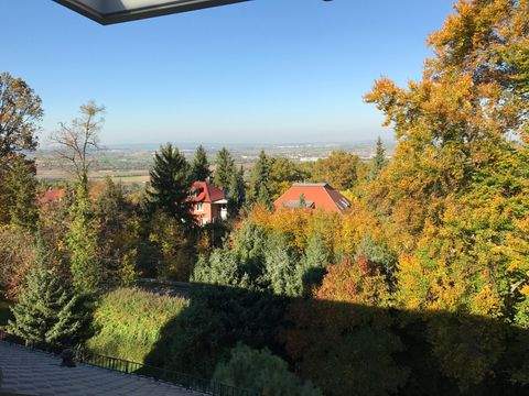 Gerlingen Häuser, Gerlingen Haus kaufen