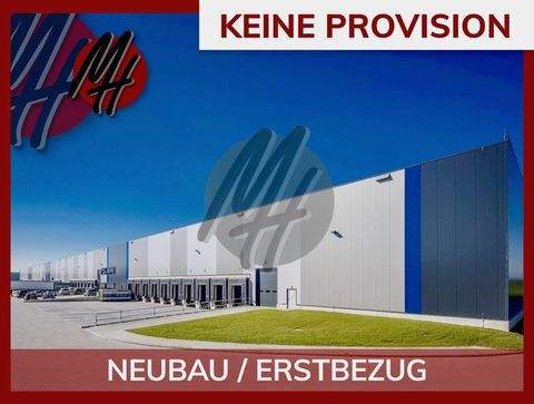 Sehnde Halle, Sehnde Hallenfläche