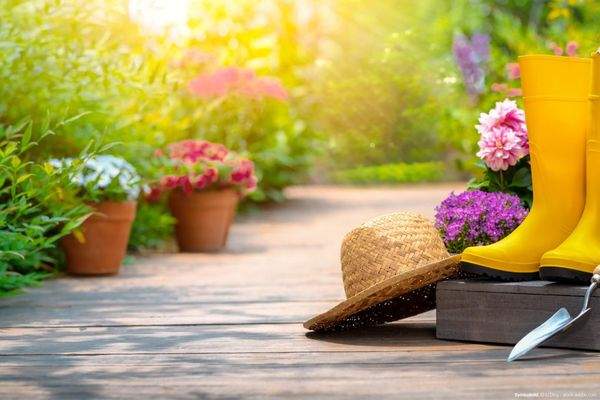 Symbolbilder_AdobeStock_VENTA_10