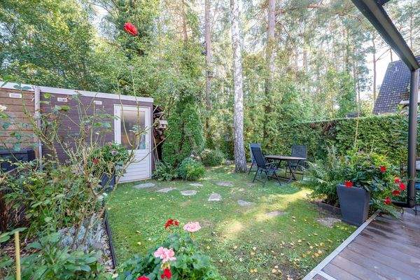 pflegeleichter Garten