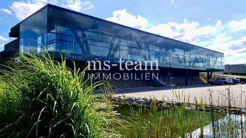 Ursensollen Büros, Büroräume, Büroflächen 