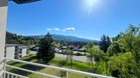 Neureichenau Wohnungen, Neureichenau Wohnung kaufen